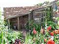 The Allotment Garden