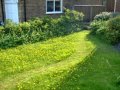 Path through the 'meadow' on 31st May