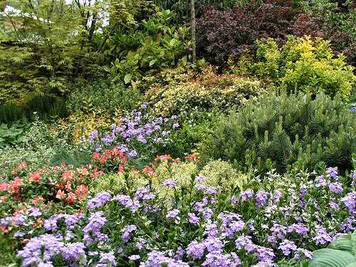 Planting from the Gardman Wild Bird Garden