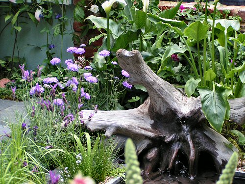 Tree stump from The Wildlife Trusts Gateway Garden