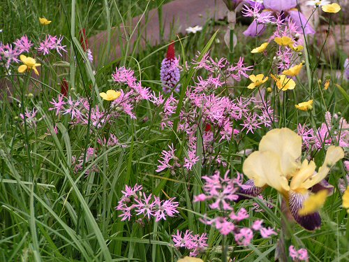 Planting detail from The Woodcutter's Garden