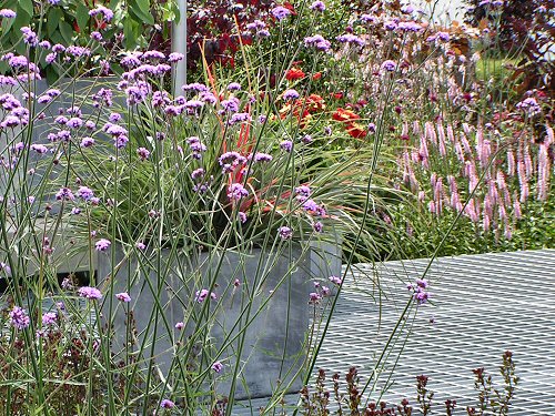 Walkway from The Garden of the Future