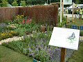 The Butterfly Pub Garden